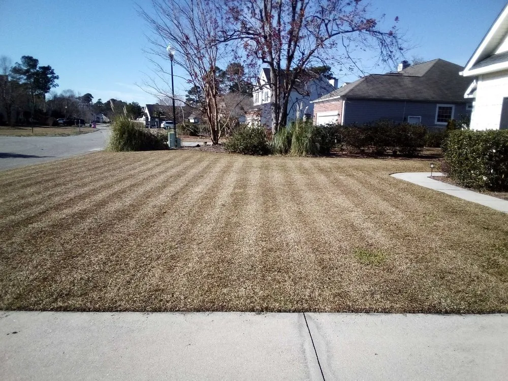 Custom lawn mowing service for year-round maintenance in Clarksville, TN by C And M Family Landscapes