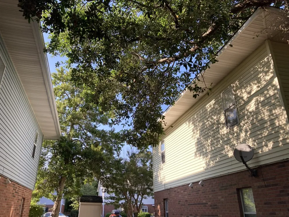 Expert lawn care service in Clarksville, TN by C And M Family Landscapes