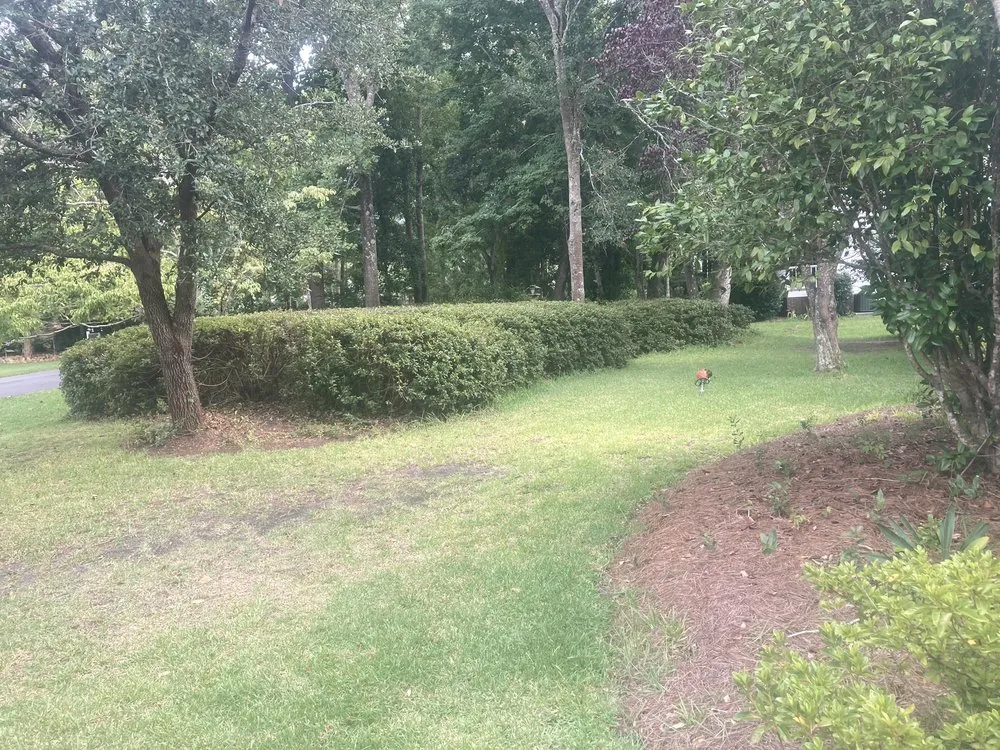 Local yard cleanup service in Clarksville, TN - C And M Family Landscapes