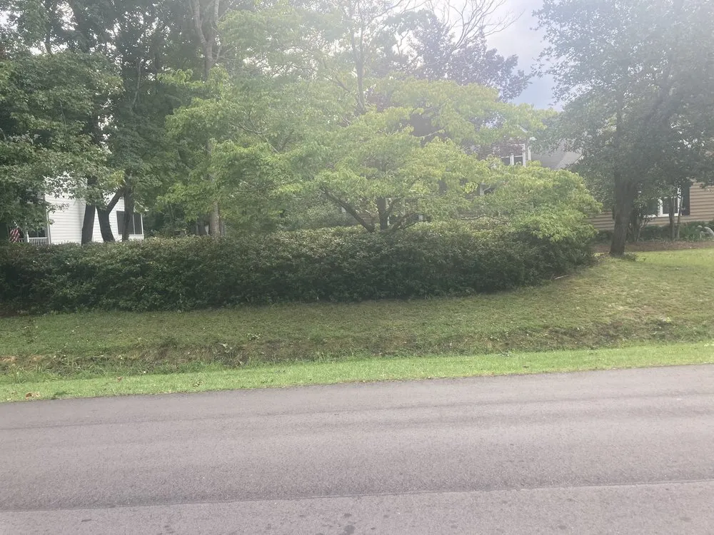 Professional landscaping services for outdoor upgrades in Clarksville, TN by C And M Family Landscapes