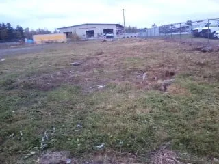 Professional yard cleanup service experts serving Etna, ME - C and M Integrity Services