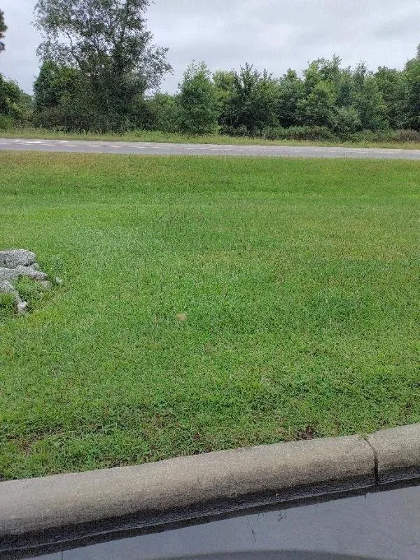 Custom landscape design for beautiful yards in Raeford, NC by C and M Services Lawncare