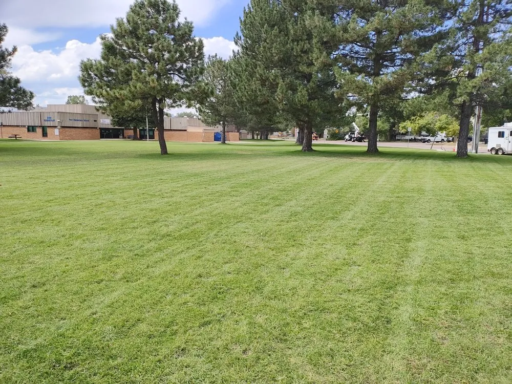 Professional landscape installation for beautiful yards in Denver, CO by C and M Total Home