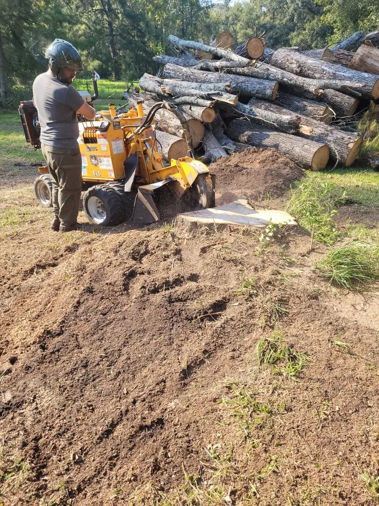 Top-rated lawn care service near you in Walker, LA by C and S Stump Grinding