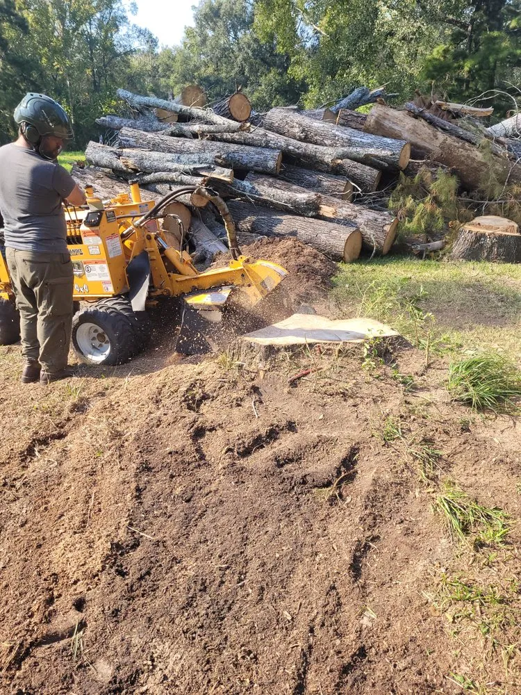 Affordable yard maintenance in Walker, LA by C and S Stump Grinding