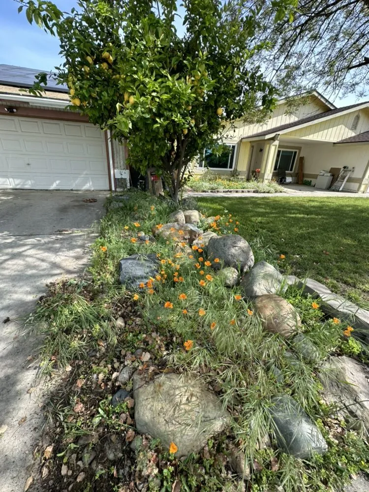 Reliable garden landscaping for outdoor upgrades in Atwater, CA by C Brothers Cleanup