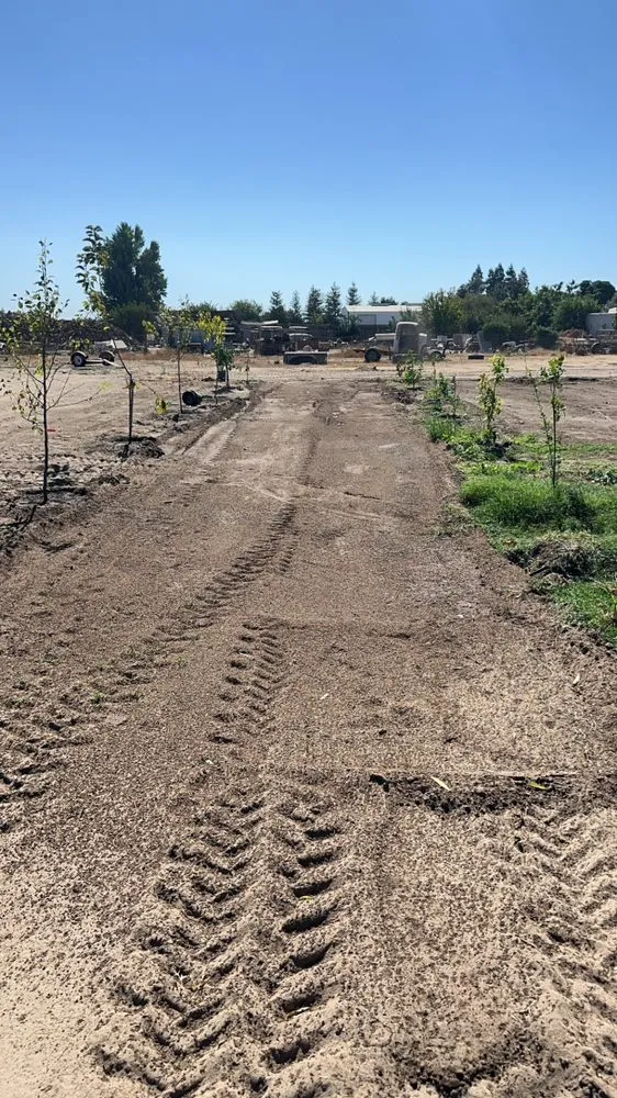 Trusted lawn mowing service for year-round maintenance in Atwater, CA by C Brothers Cleanup