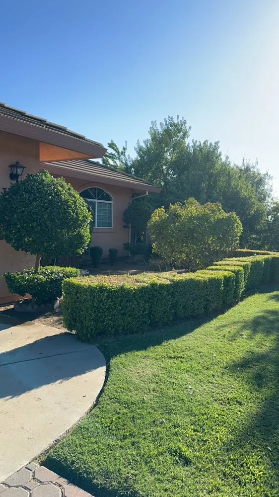 Professional landscape design for beautiful yards in Atwater, CA by C Brothers Cleanup