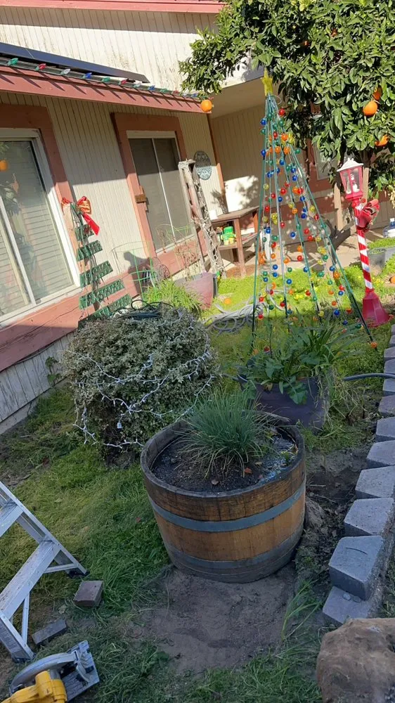 Trusted lawn care service experts serving Atwater, CA - C Brothers Cleanup