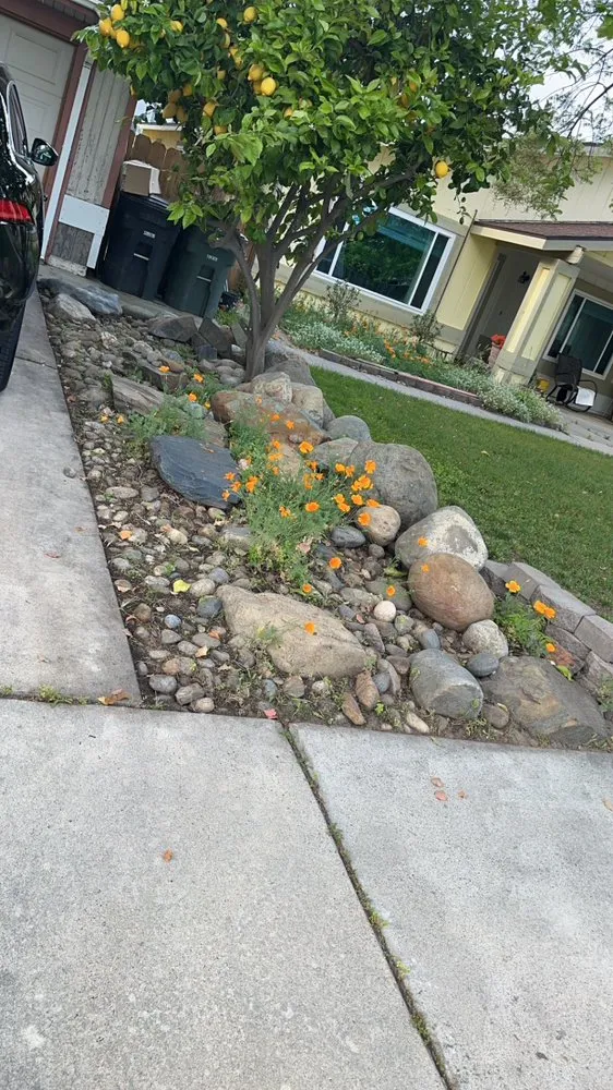 Trusted residential landscaping in Atwater, CA by C Brothers Cleanup
