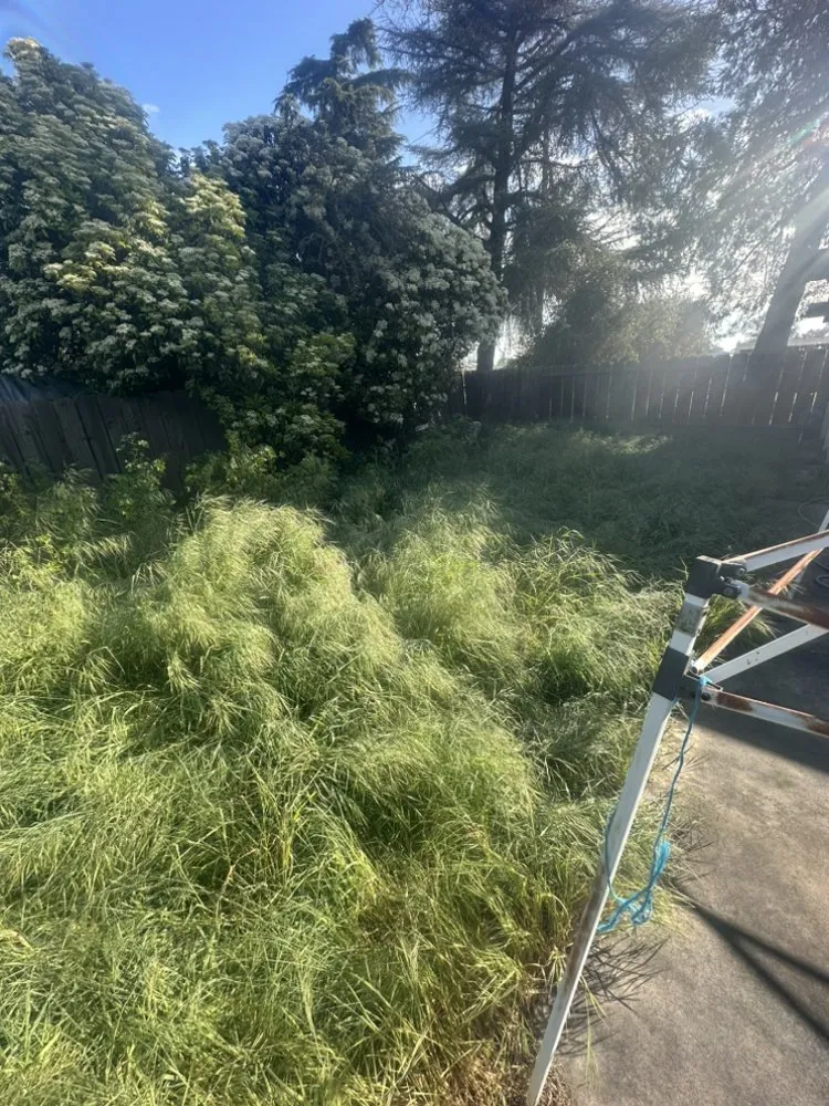 Reliable residential landscaping near you in Atwater, CA by C Brothers Cleanup