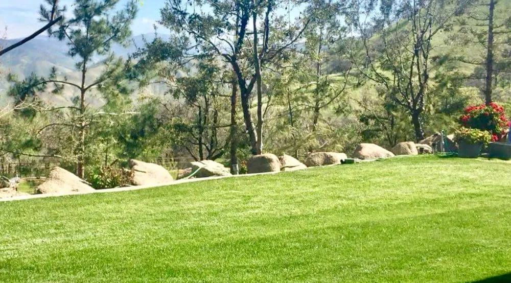 Affordable yard cleanup service near you in Tehachapi, CA by C-C Tree and Landscape