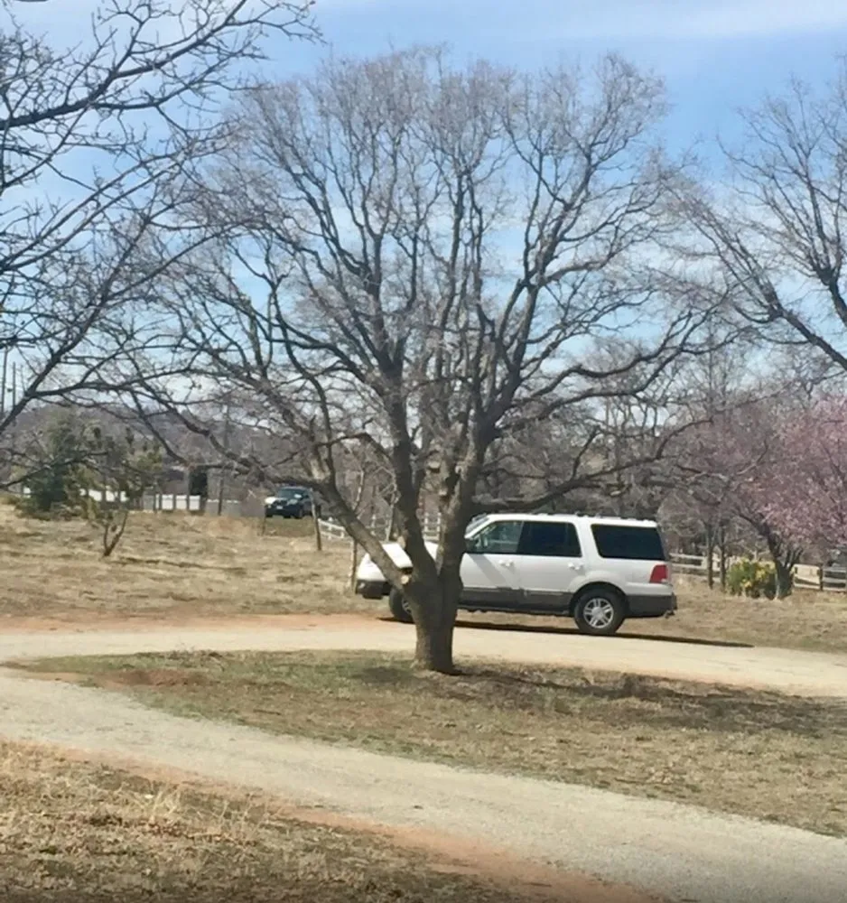 Affordable residential landscaping in Tehachapi, CA by C-C Tree and Landscape