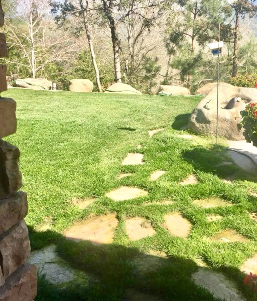 Top-rated landscaping services in Tehachapi, CA - C-C Tree and Landscape