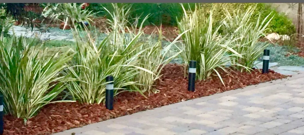 Trusted lawn care service for homes across Tehachapi, CA - C-C Tree and Landscape