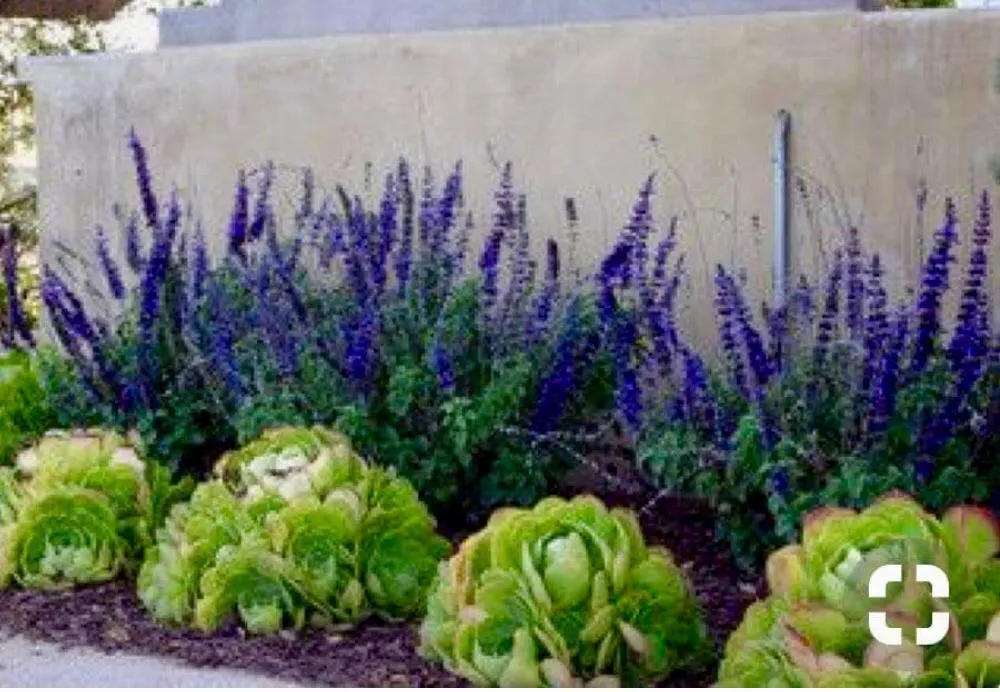 Expert landscaping services in Tehachapi, CA by C-C Tree and Landscape