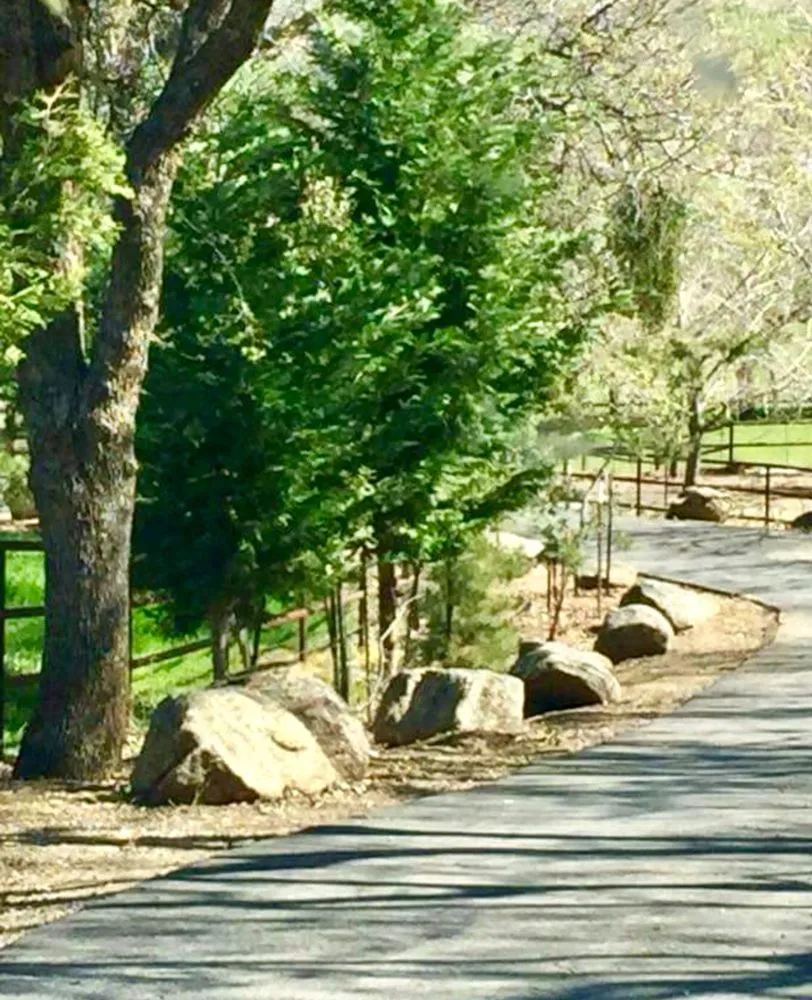 Top-rated lawn care service experts serving Tehachapi, CA - C-C Tree and Landscape