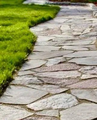 C-C Tree and Landscape