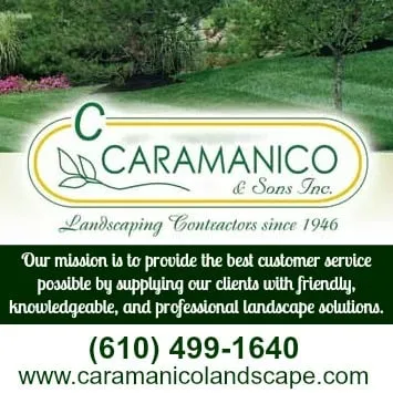 Reliable yard cleanup service in Upland, PA - C Caramanico & Sons