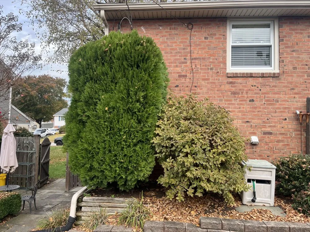 Professional landscape installation for residential properties in Upper Chichester, PA by C. Chalker & Son Landscaping
