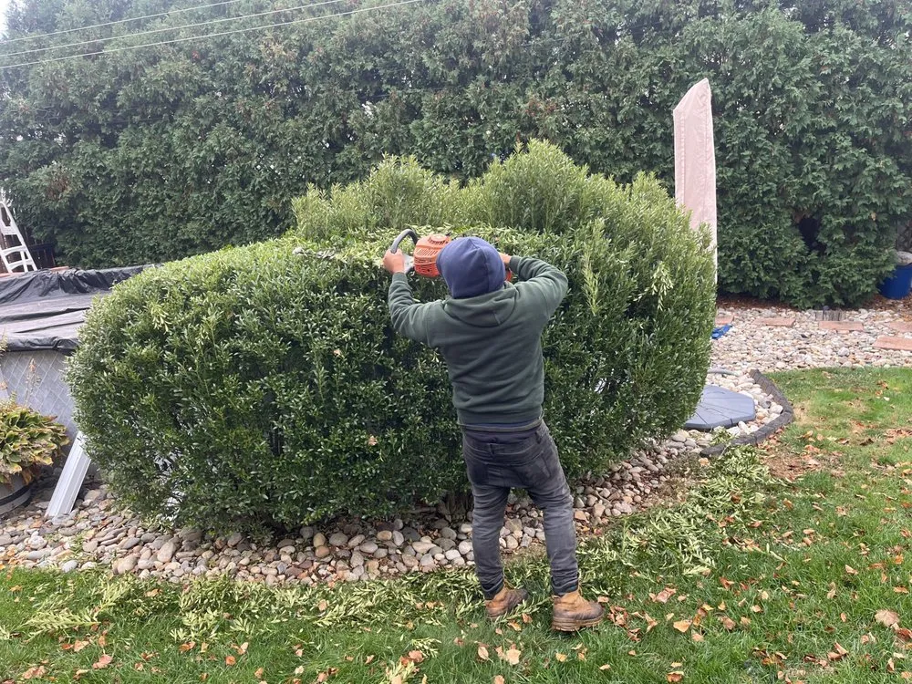 Affordable outdoor landscaping for beautiful yards across Upper Chichester, PA - C. Chalker & Son Landscaping