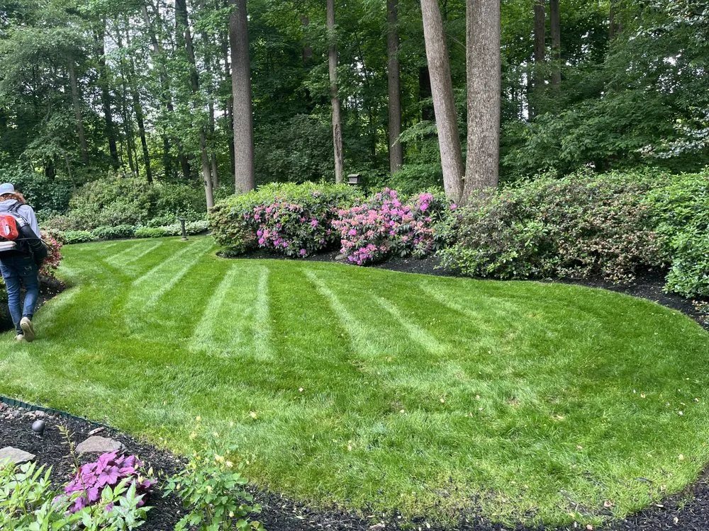 Expert landscape design for outdoor upgrades in Upper Chichester, PA by C. Chalker & Son Landscaping