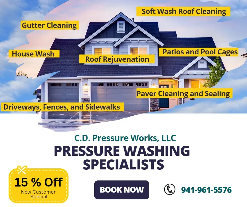 Local yard cleanup service experts serving Tampa Bay, FL - C D Pressure Works
