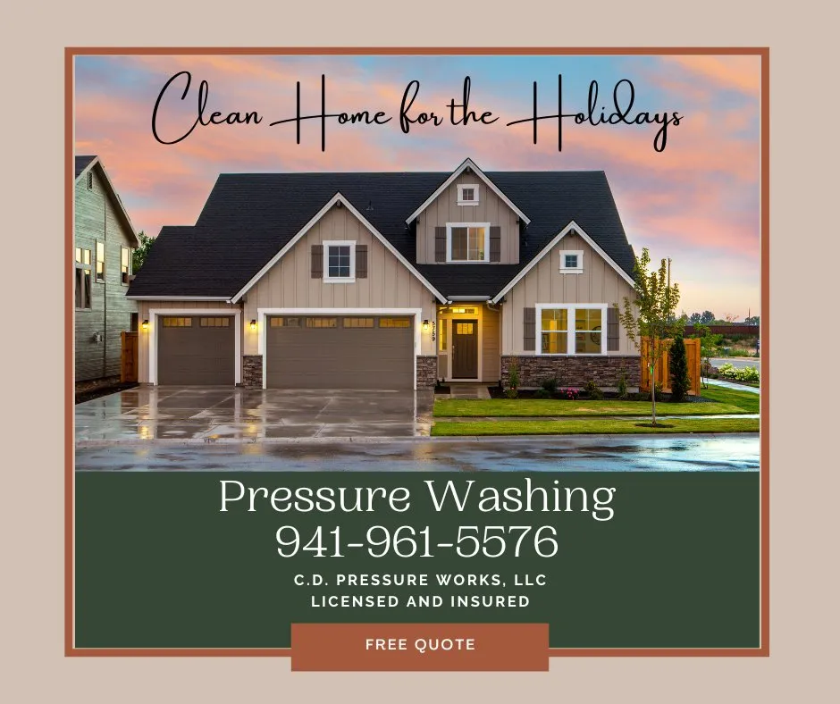 Top-rated landscaping services for year-round maintenance across Tampa Bay, FL - C D Pressure Works