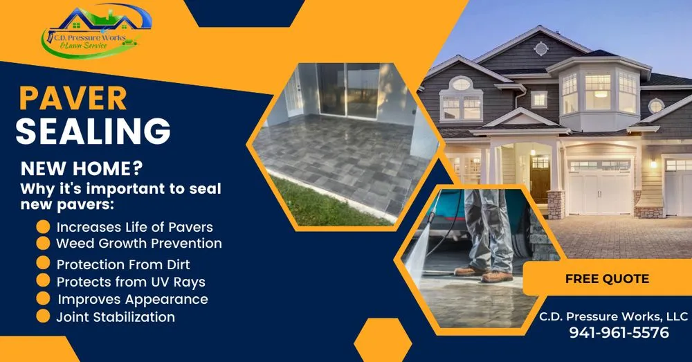 Top-rated lawn mowing service in Tampa Bay, FL - C D Pressure Works