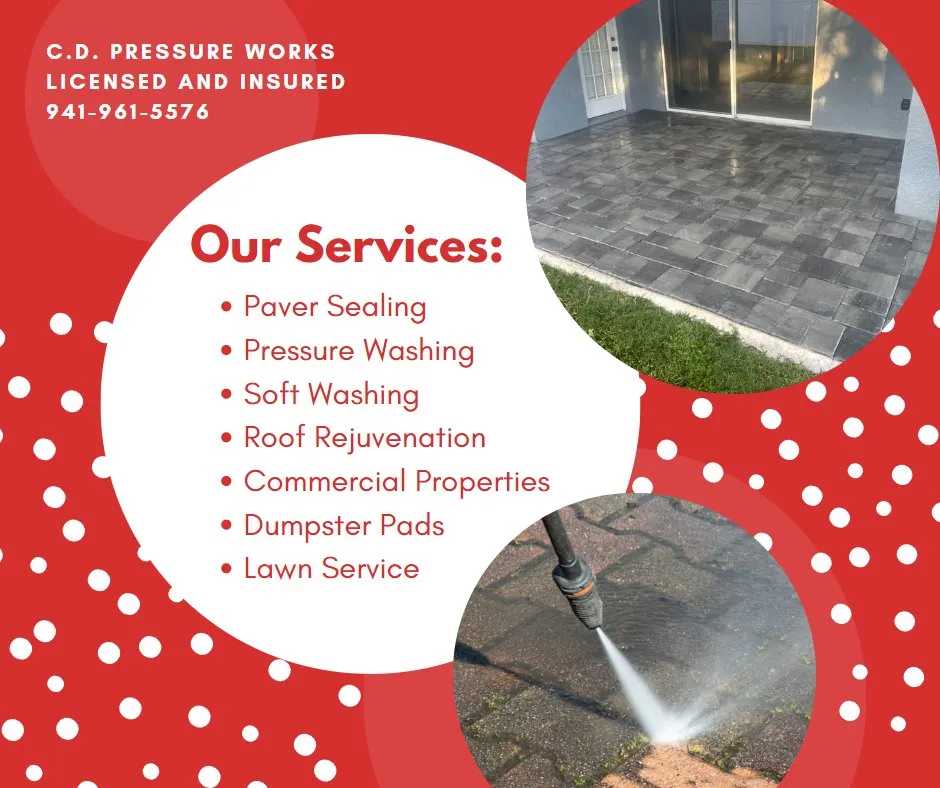 Reliable landscaping services in Tampa Bay, FL by C D Pressure Works