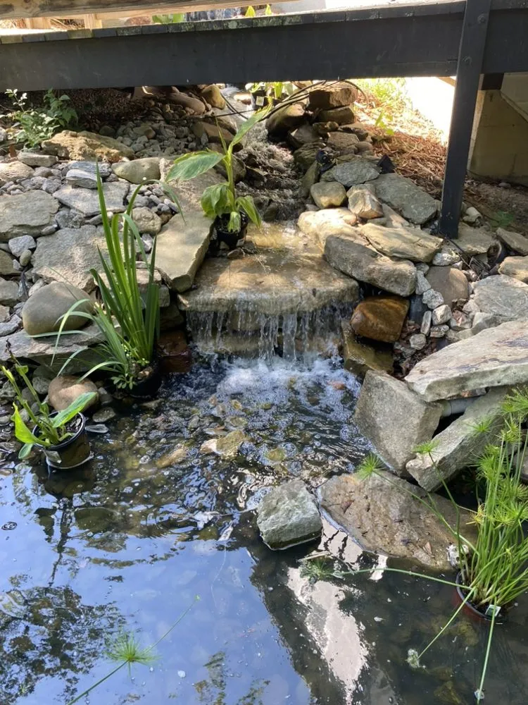 Trusted residential landscaping in Louisville, KY by C Denny Landscaping