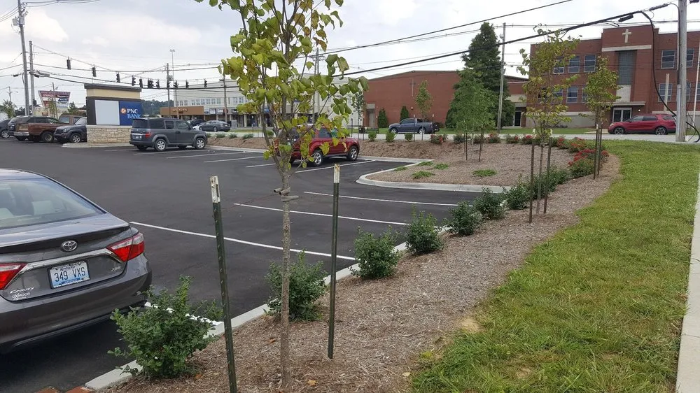 Custom yard maintenance in Louisville, KY - C Denny Landscaping