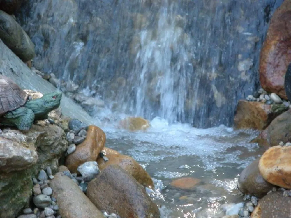 Local garden landscaping in Louisville, KY by C Denny Landscaping