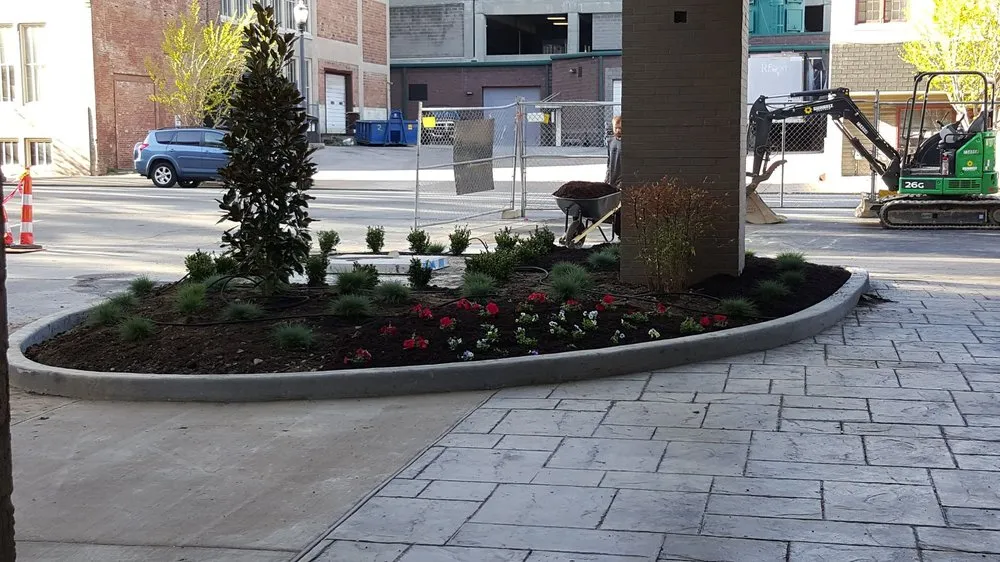 Reliable yard cleanup service for year-round maintenance across Louisville, KY - C Denny Landscaping