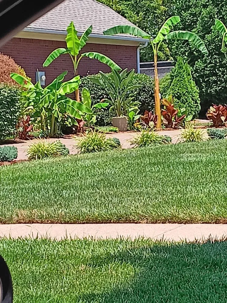 Top-rated garden landscaping in Louisville, KY by C Denny Landscaping