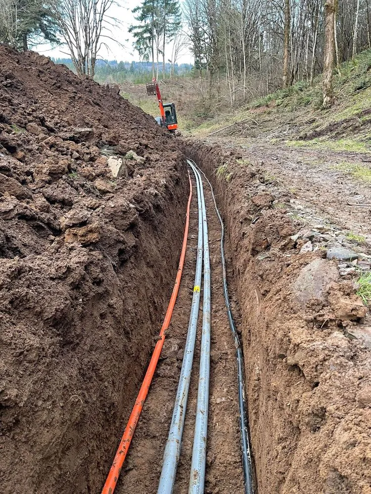 Affordable yard cleanup service for homes across Kalama, WA - C. E. Wilson Construction