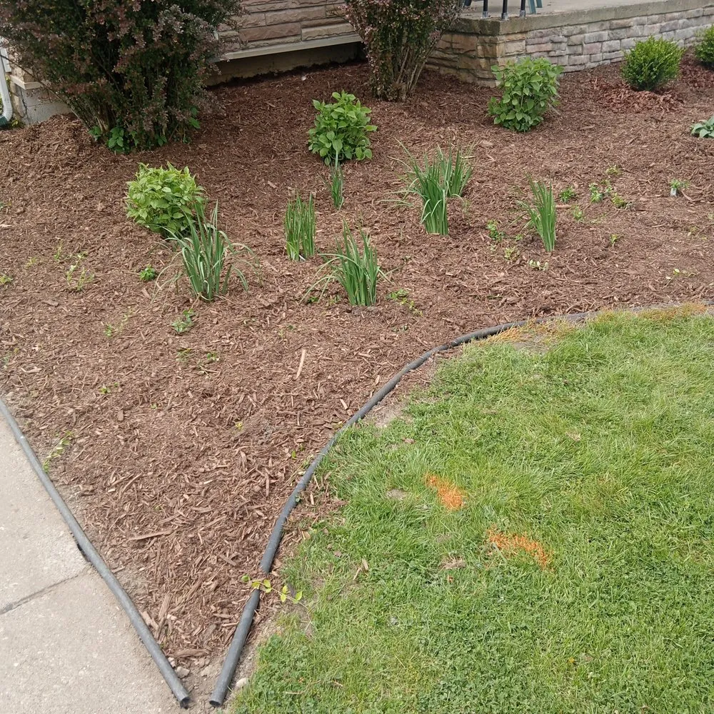 Top-rated landscape installation experts serving Troy, MI - C Eddy Snow Plowing & Lawn Maintenance