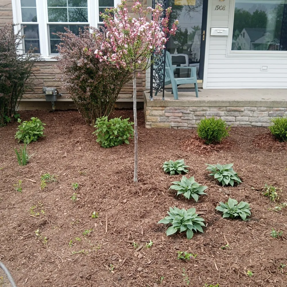 Local landscape design with custom design across Troy, MI - C Eddy Snow Plowing & Lawn Maintenance