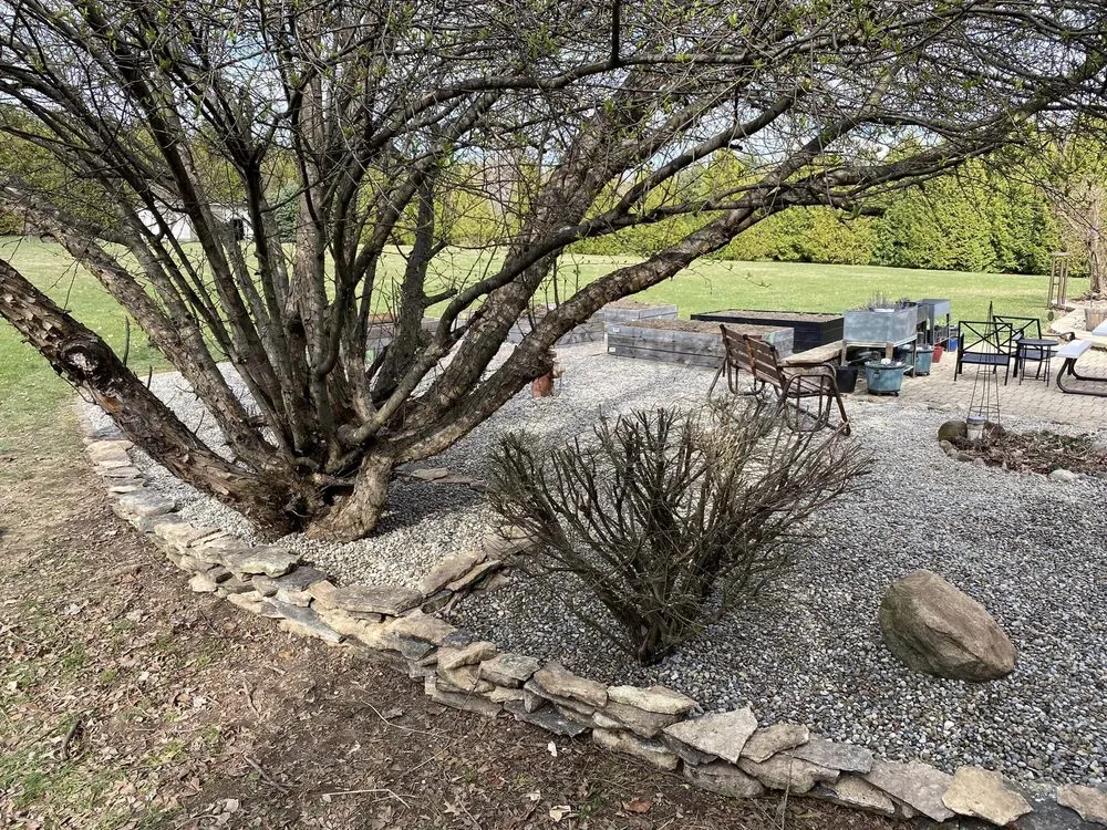 Custom lawn care service for year-round maintenance across Plymouth, IN - C F Services