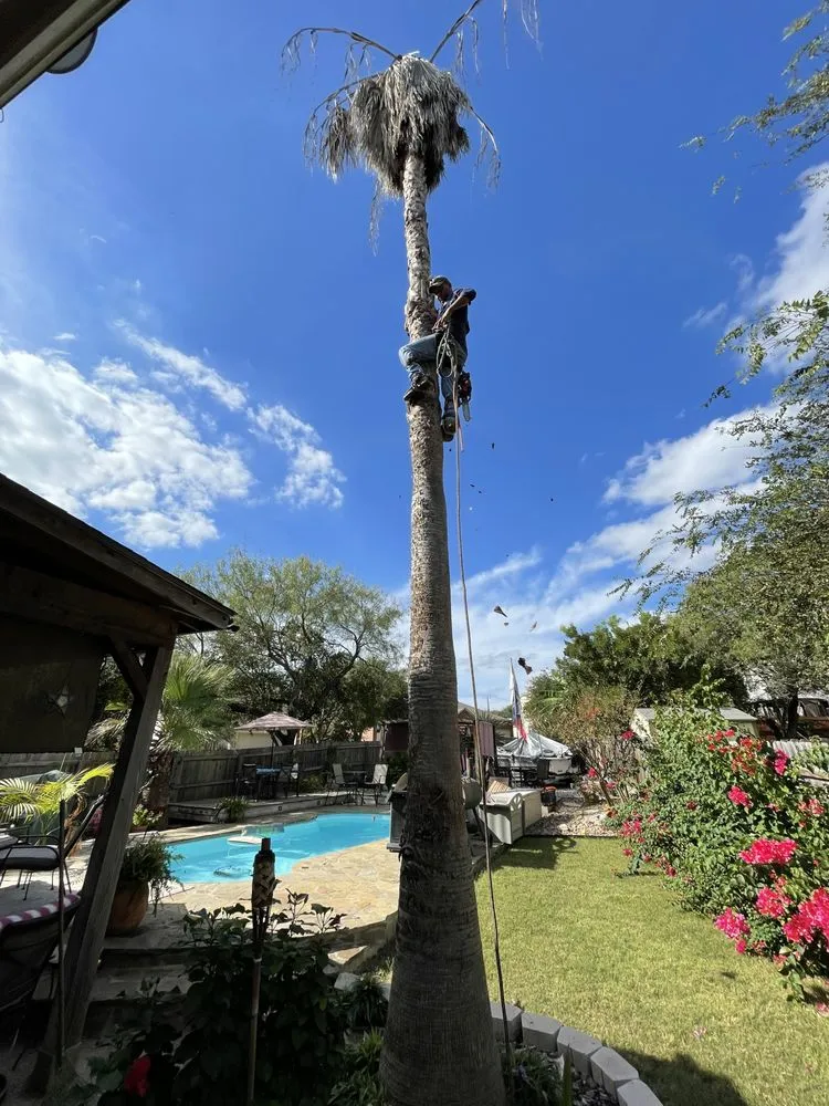 Custom landscape installation experts serving San Antonio, TX - C Fuentes Landscaping