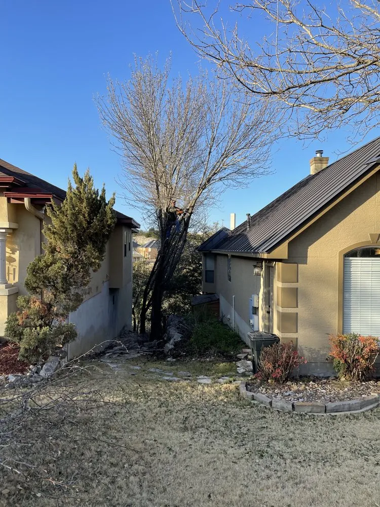 Custom outdoor landscaping in San Antonio, TX - C Fuentes Landscaping