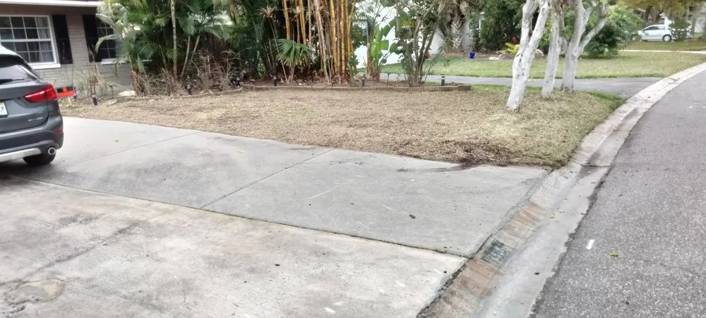 Reliable landscaping services for year-round maintenance in Birmingham, AL by C G Greene Lawn Care