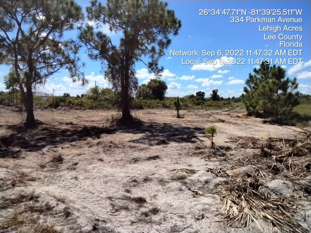 Expert yard cleanup service experts serving Birmingham, AL - C G Greene Lawn Care