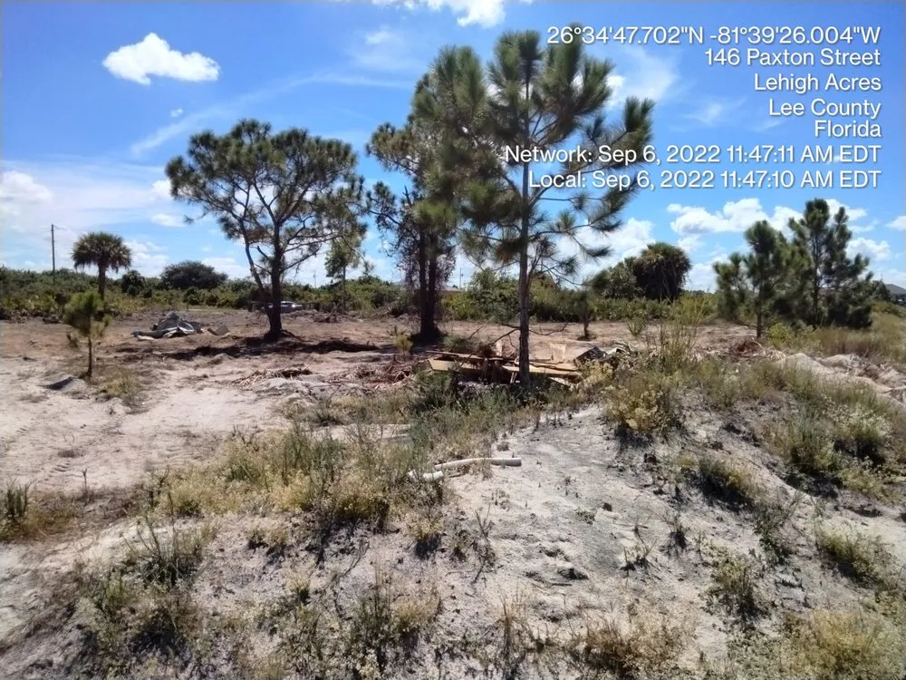 Expert landscaping services in Birmingham, AL by C G Greene Lawn Care