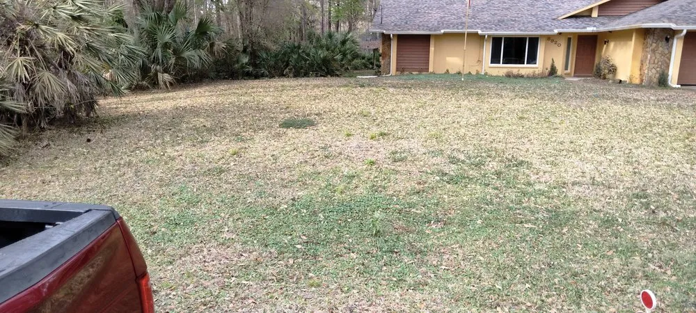 Affordable landscaping services in Birmingham, AL - C G Greene Lawn Care