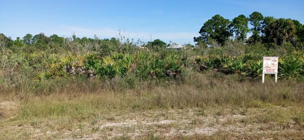 Reliable lawn care service in Birmingham, AL - C G Greene Lawn Care