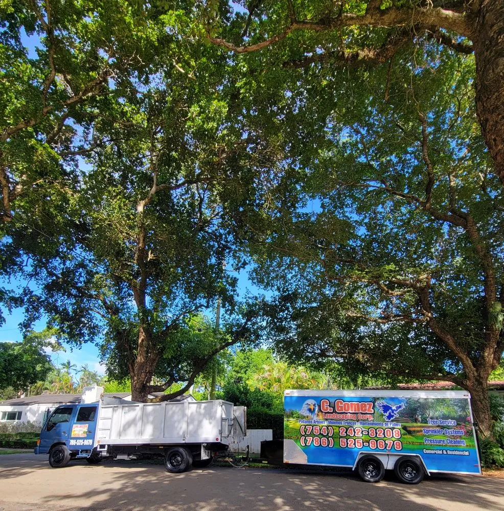 Top-rated lawn care service for year-round maintenance across Miami, FL - C Gomez Landscaping