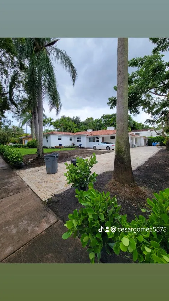 Reliable lawn mowing service experts serving Miami, FL - C Gomez Landscaping