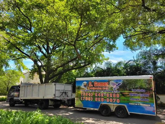 C Gomez Landscaping Logo