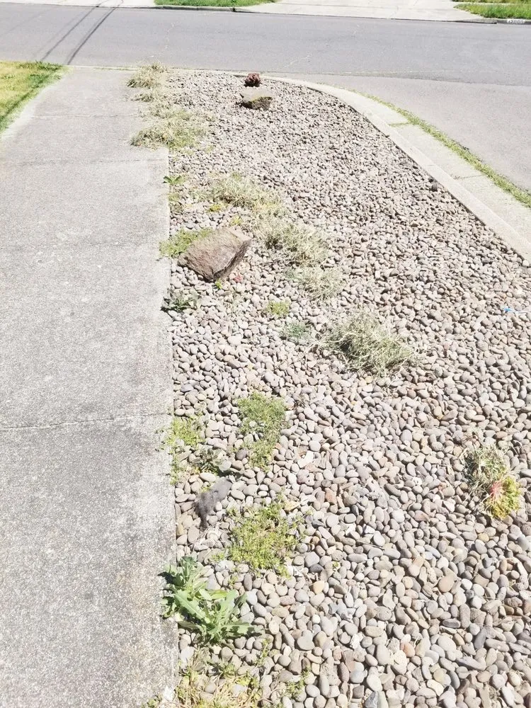 Trusted yard maintenance for homes across Medford, OR - C H Landscaping